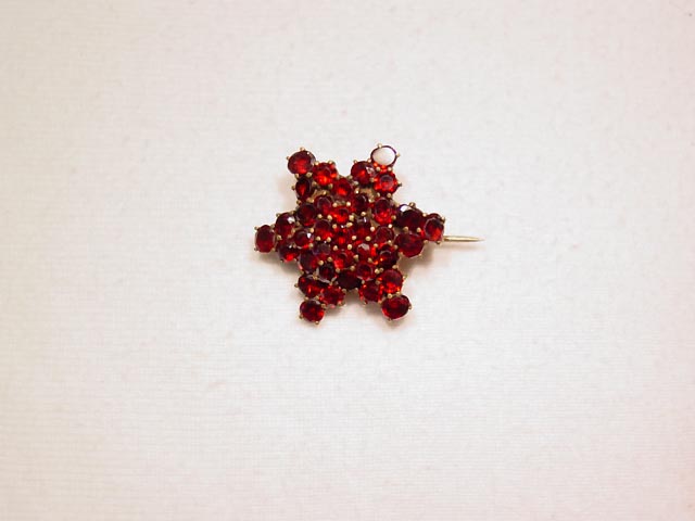 Beautiful Snowflake Shaped Garnet Pin