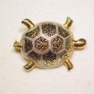 Spanish Turtle Pin