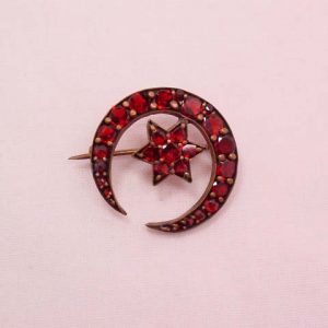 Bohemian Garnet Moon and Star Pin
