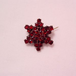 Old Garnet Snowflake Pin
